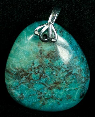 Blue Fossil Coral Pendant - Million Years Old #6004